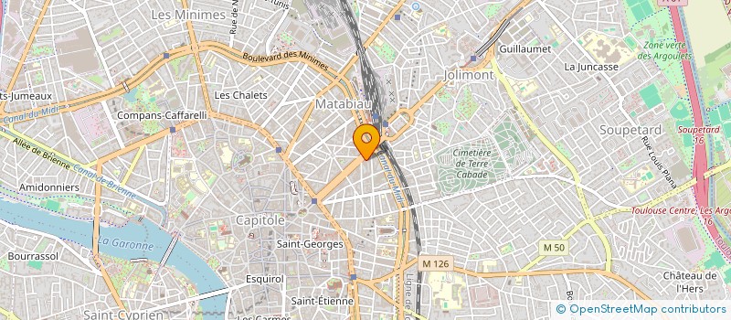 localisation de l'entreprise MONSIEUR FRANCOIS DRUAUX à TOULOUSE