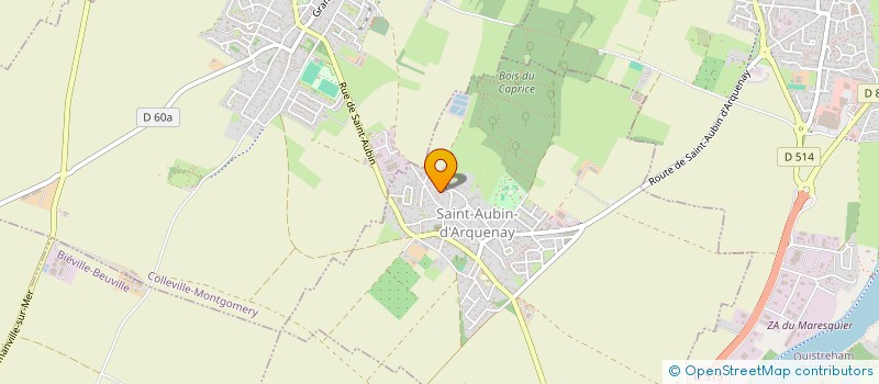 localisation de l'entreprise MONSIEUR FRANCOIS DUCHEMIN  SAINT-AUBIN-D'ARQUENAY