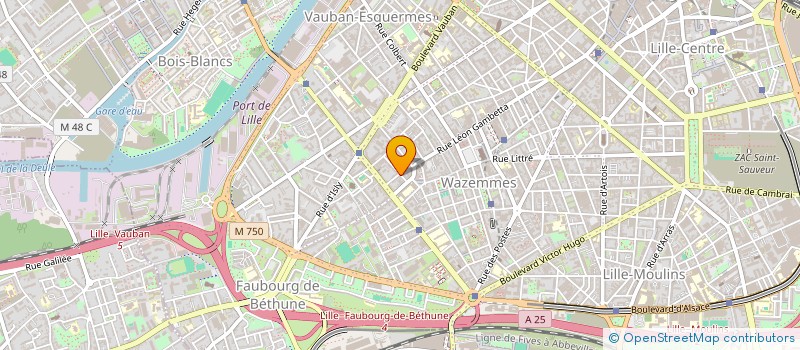 localisation de l'entreprise MONSIEUR FRANCOIS DUCROQUET à LILLE