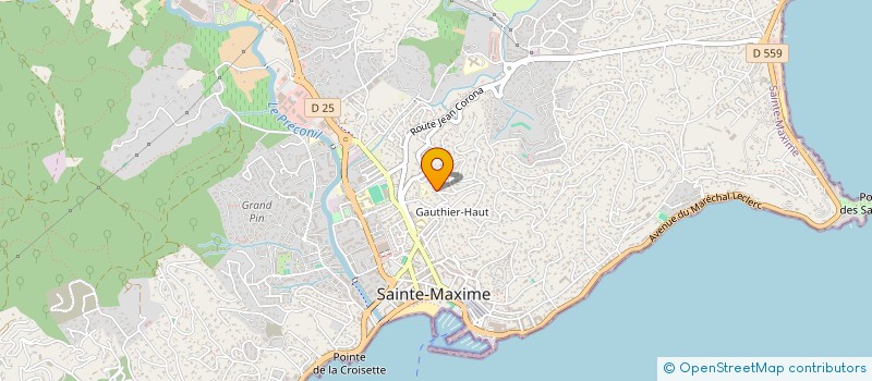 localisation de l'entreprise MONSIEUR FRANCOIS ELIZABE à SAINTE-MAXIME
