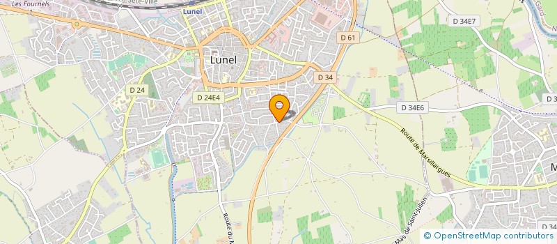 localisation de l'entreprise MONSIEUR FRANCOIS FLORES  LUNEL