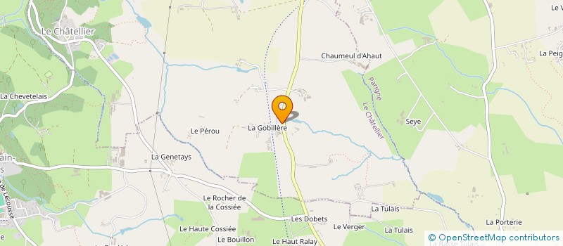 localisation de l'entreprise MONSIEUR FRANCOIS FOUCAULT  SAINT-DENIS-DE-GASTINES