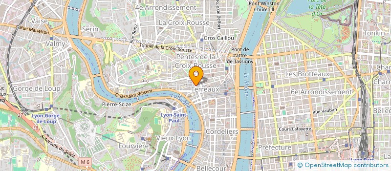 localisation de l'entreprise MONSIEUR FRANCOIS GAILLARD  LYON