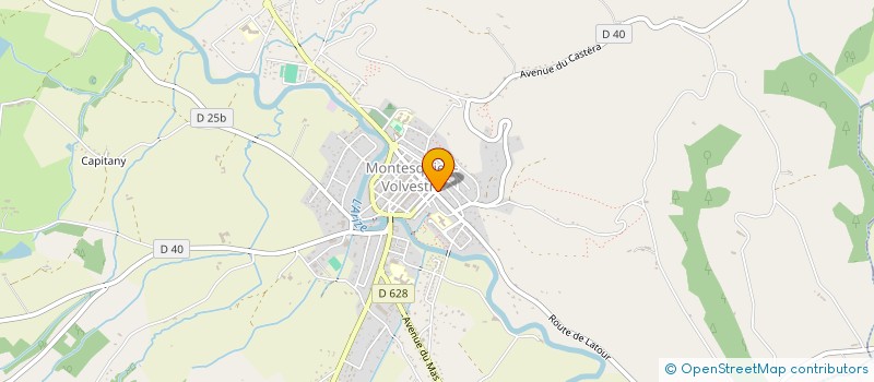 localisation de l'entreprise MONSIEUR FRANCOIS GENOUD  MONTESQUIEU-VOLVESTRE