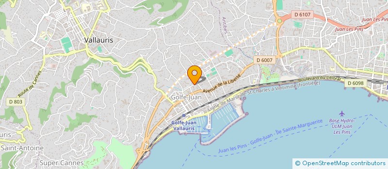 localisation de l'entreprise MONSIEUR FRANCOIS GRASSER  VALLAURIS