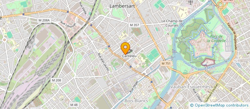 localisation de l'entreprise MONSIEUR FRANCOIS GRUSON à LAMBERSART