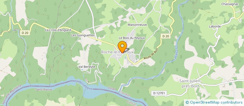localisation de l'entreprise MONSIEUR FRANCOIS JENSONIE à ROCHE-LE-PEYROUX