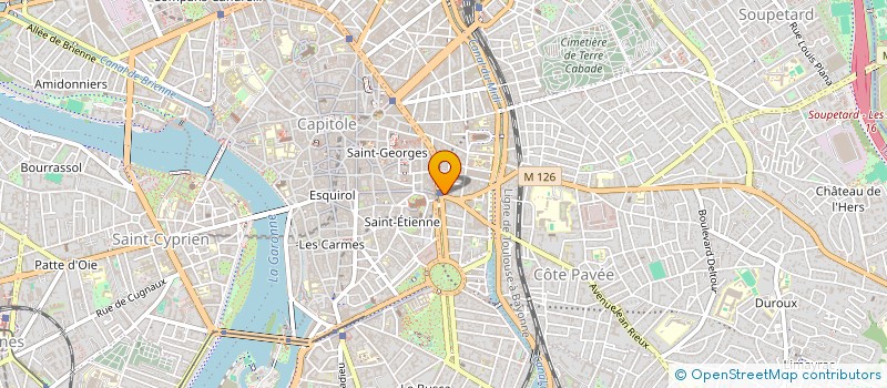 localisation de l'entreprise MONSIEUR FRANCOIS JOANNY  TOULOUSE