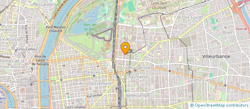 localisation de l'entreprise MONSIEUR FRANCOIS KIAPENI LUKOKI  VILLEURBANNE