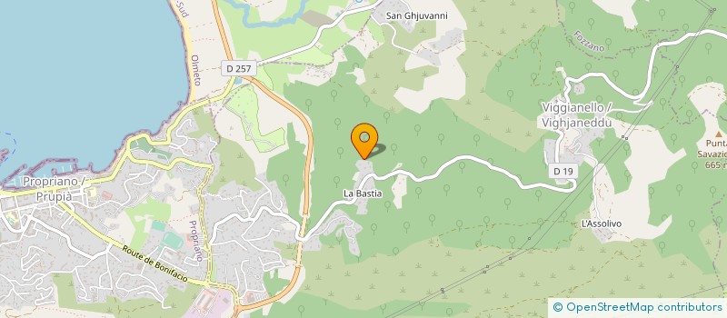 localisation de l'entreprise MONSIEUR FRANCOIS LANFRANCHI  VIGGIANELLO