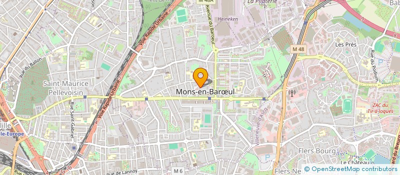 localisation de l'entreprise MONSIEUR FRANCOIS LELEU  MONS-EN-BARUL