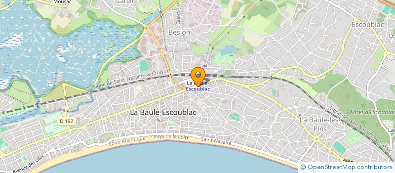 localisation de l'entreprise MONSIEUR FRANCOIS LEYRAVAUD à LA BAULE-ESCOUBLAC