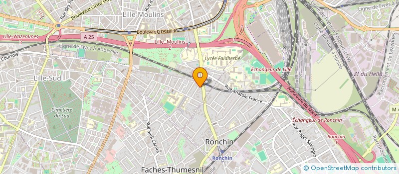 localisation de l'entreprise MONSIEUR FRANCOIS LOUIS FERDI PARENT à LILLE