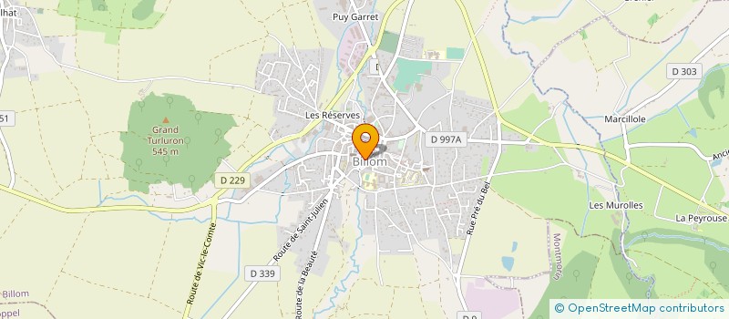 localisation de l'entreprise MONSIEUR FRANCOIS MARTIN à BILLOM