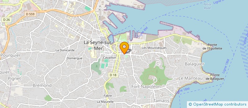 localisation de l'entreprise MONSIEUR FRANCOIS MARTINEZ à LA SEYNE-SUR-MER