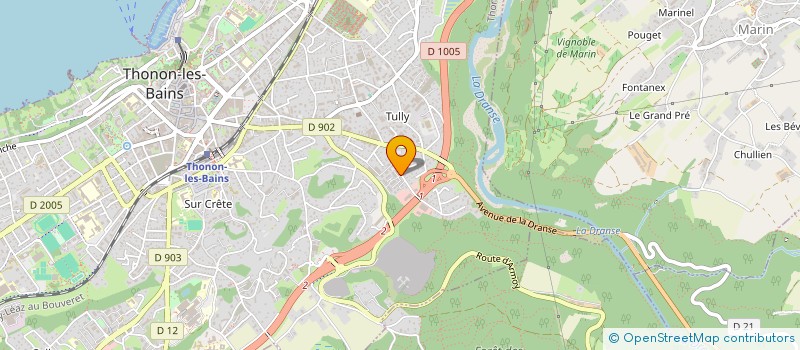 localisation de l'entreprise MONSIEUR FRANCOIS MESSI MESSI à THONON-LES-BAINS