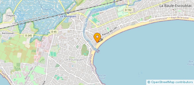 localisation de l'entreprise MONSIEUR FRANCOIS MIGLIERINA  LA BAULE-ESCOUBLAC