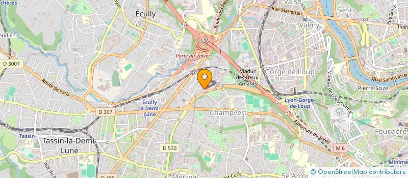 localisation de l'entreprise MONSIEUR FRANCOIS ODDO  TASSIN-LA-DEMI-LUNE