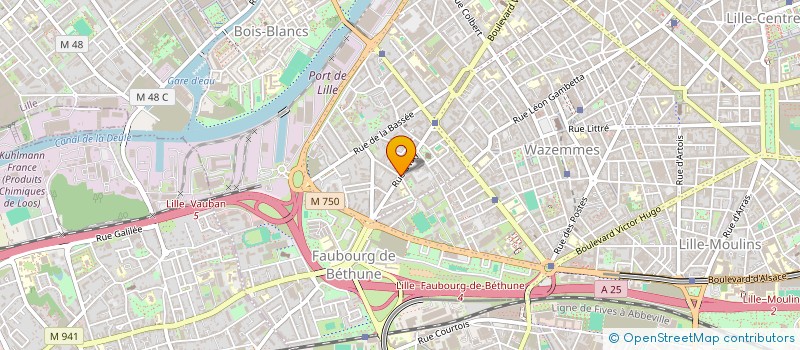 localisation de l'entreprise MONSIEUR FRANCOIS OMNES  LILLE