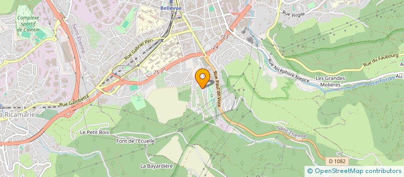 localisation de l'entreprise MONSIEUR FRANCOIS PAUL BOURDIS  SAINT-ETIENNE