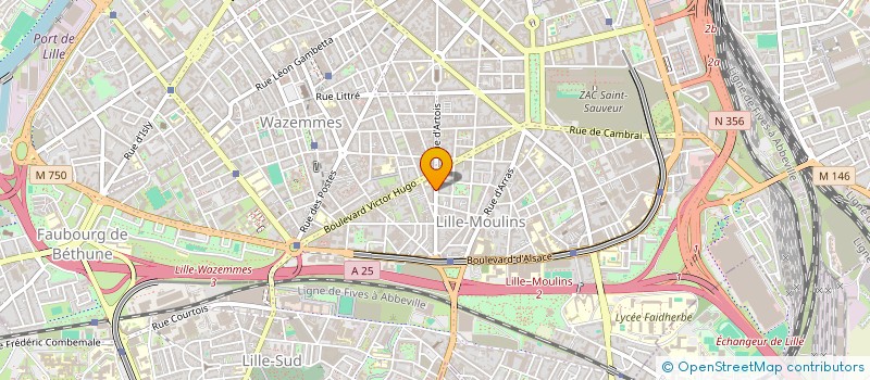 localisation de l'entreprise MONSIEUR FRANCOIS PUISIEUX à LILLE