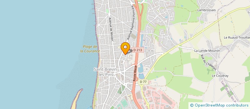 localisation de l'entreprise MONSIEUR FRANCOIS RICHARD à SAINT-BREVIN-LES-PINS