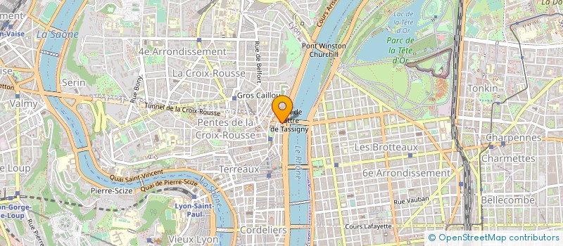 localisation de l'entreprise MONSIEUR FRANCOIS RICOUT à LYON