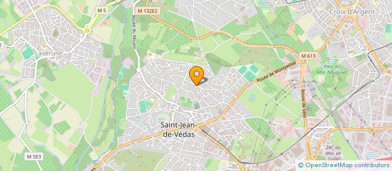 localisation de l'entreprise MONSIEUR FRANCOIS RUAS  SAINT-JEAN-DE-VEDAS