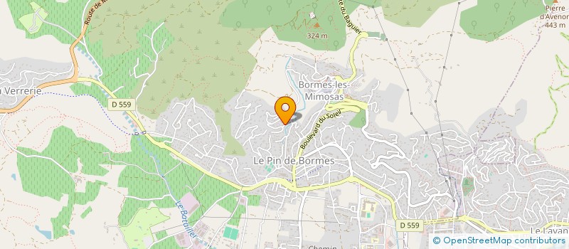 localisation de l'entreprise MONSIEUR FRANCOIS SALAUN à BORMES-LES-MIMOSAS