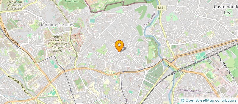 localisation de l'entreprise MONSIEUR FRANCOIS SALVETTI à MONTPELLIER