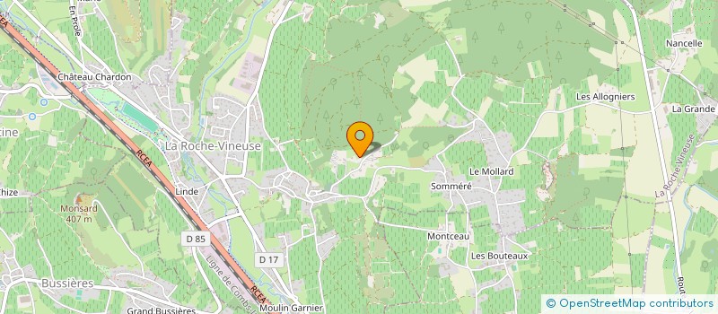 localisation de l'entreprise MONSIEUR FRANCOIS SANGIORGI  LA ROCHE-VINEUSE