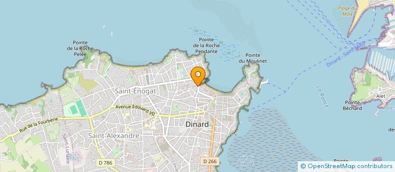 localisation de l'entreprise MONSIEUR FRANCOIS SIMONNEAUX  DINARD