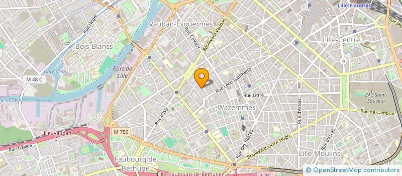 localisation de l'entreprise MONSIEUR FRANCOIS SIX à LILLE