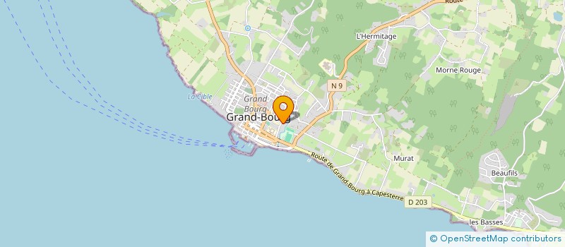 localisation de l'entreprise MONSIEUR FRANCOIS SOURIOU à GRAND-BOURG