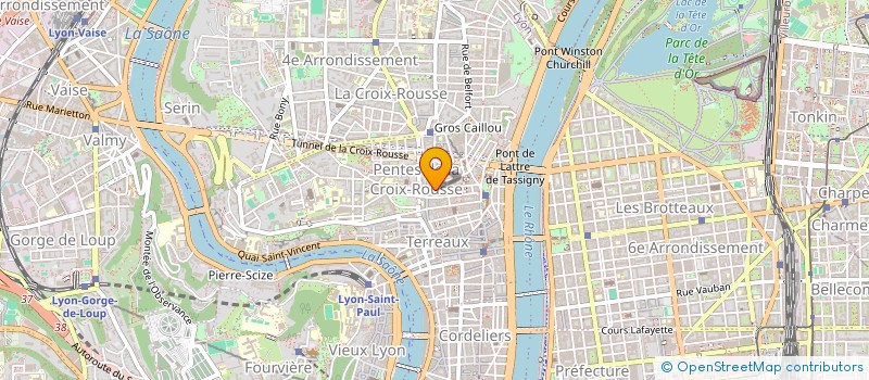 localisation de l'entreprise MONSIEUR FRANCOIS THOMAS à LYON