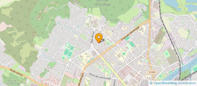 localisation de l'entreprise MONSIEUR FRANCOIS TRUCHETET  THIONVILLE