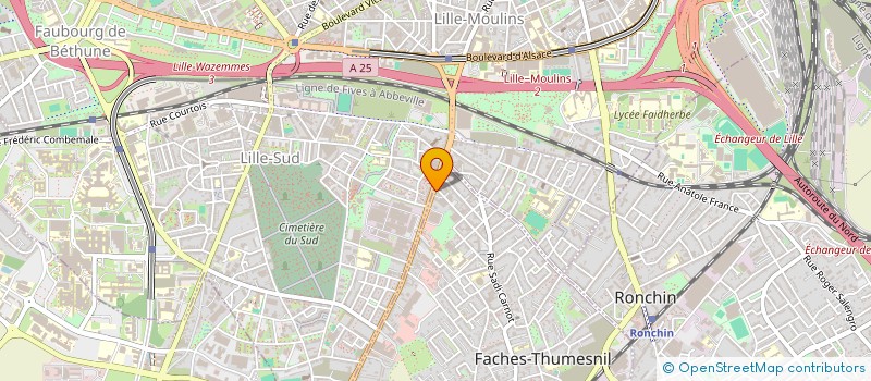 localisation de l'entreprise MONSIEUR FRANCOIS USAL  FACHES-THUMESNIL