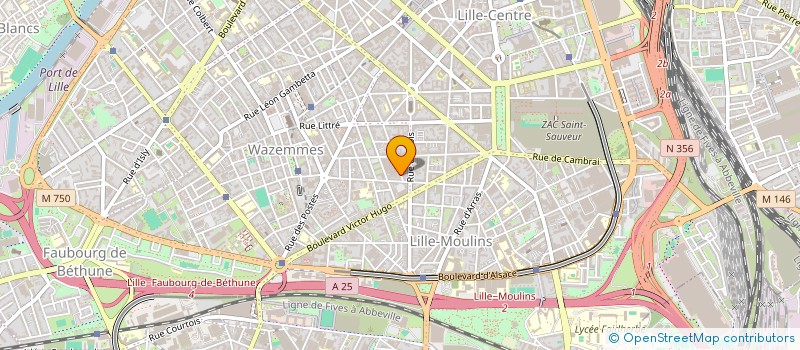 localisation de l'entreprise MONSIEUR FRANCOIS VERIN à LILLE