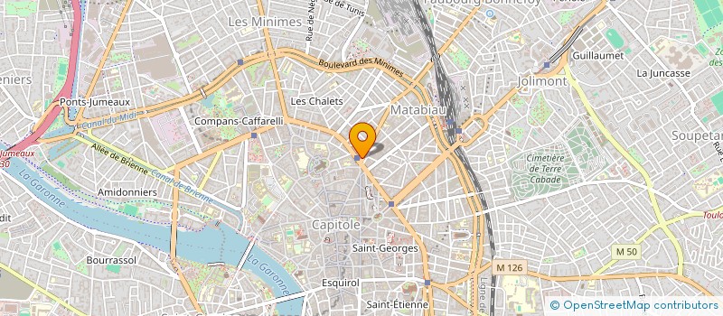 localisation de l'entreprise MONSIEUR FRANCOIS VEYRES  TOULOUSE