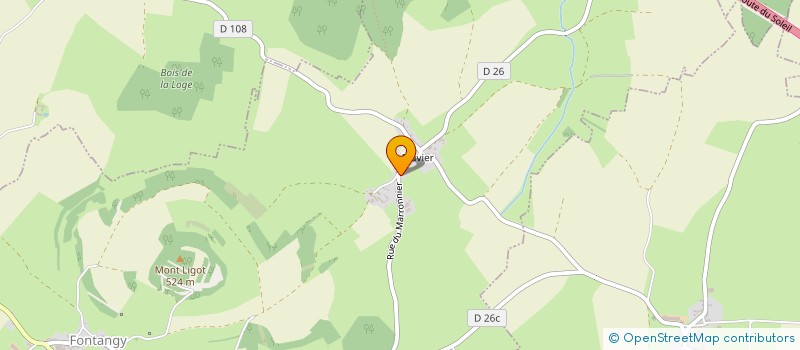 localisation de l'entreprise MONSIEUR FRANCOIS VOITURIER  FONTANGY