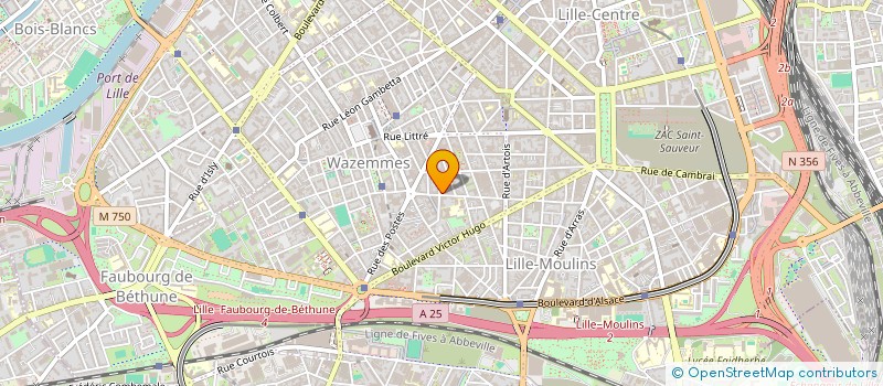 localisation de l'entreprise MONSIEUR FRANCOIS WASSON à LILLE