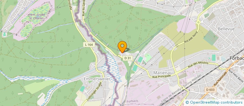 localisation de l'entreprise MONSIEUR FRANCOIS-XAVIER ENZWEILER  FORBACH