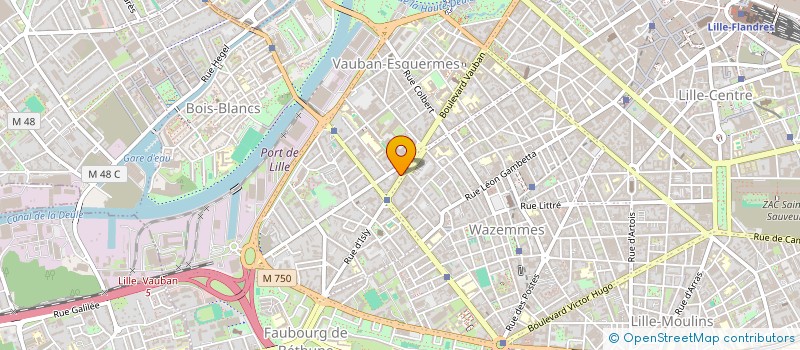 localisation de l'entreprise MONSIEUR FRANCOIS XAVIER SZYMUSIAK à LILLE