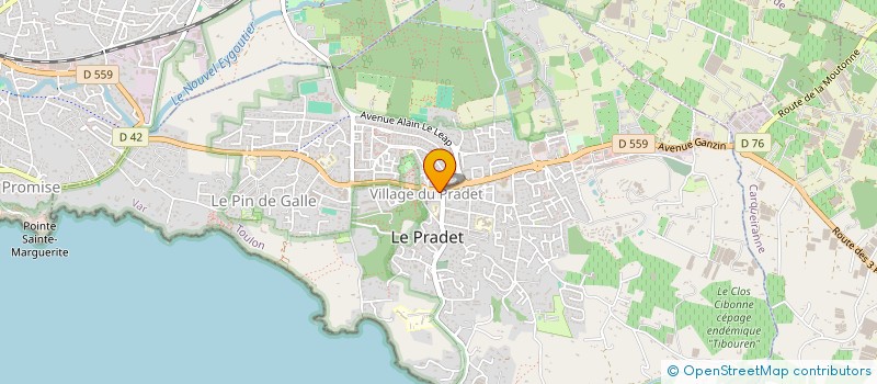 localisation de l'entreprise MONSIEUR FRANK BOCH  LE PRADET