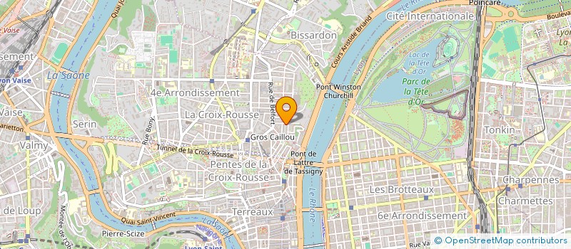 localisation de l'entreprise MONSIEUR FRANK BROUSSAS  LYON