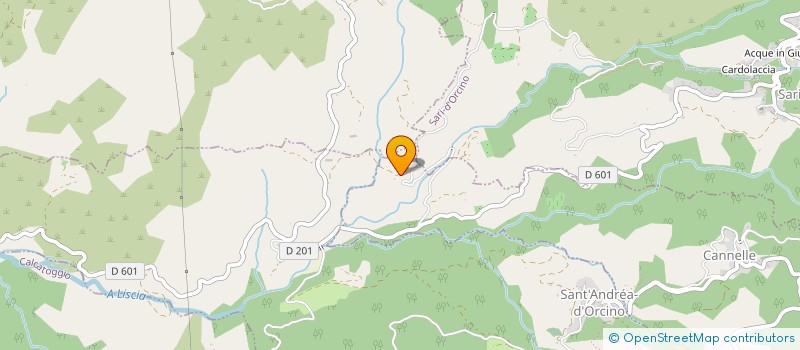 localisation de l'entreprise MONSIEUR FRANK BRUNO VIAU  SANT'ANDREA-D'ORCINO