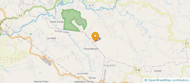 localisation de l'entreprise MONSIEUR FRANTZ FONROSE  SAINT ESPRIT