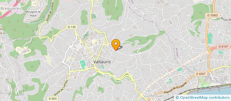 localisation de l'entreprise MONSIEUR FRANTZ LEBERT  VALLAURIS