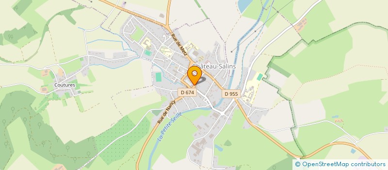 localisation de l'entreprise MONSIEUR FRANTZ LEDUC  CHATEAU-SALINS