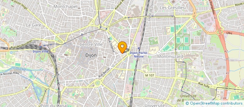localisation de l'entreprise MONSIEUR FRANTZ REGA à DIJON